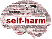 An online confidential self harm support group